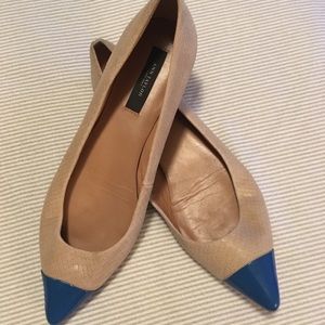 Ann Taylor Pointed Flats